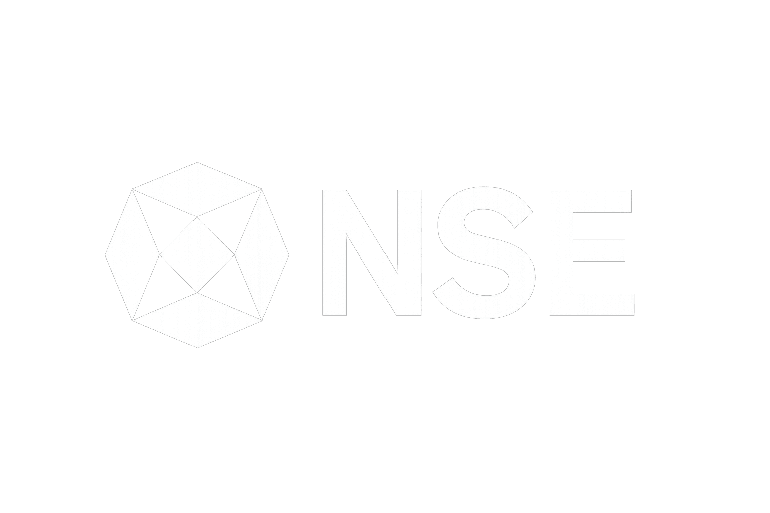 NSE logo